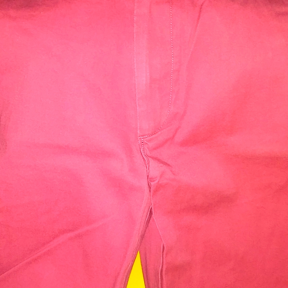 J Crew Size 31 Men's Shorts